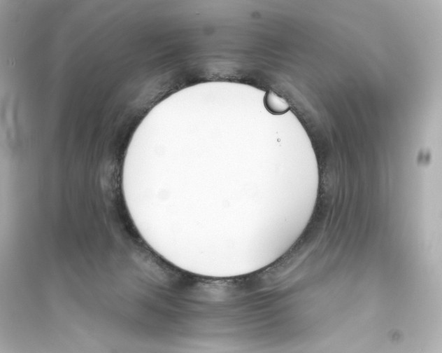 X0000093570079200711121047