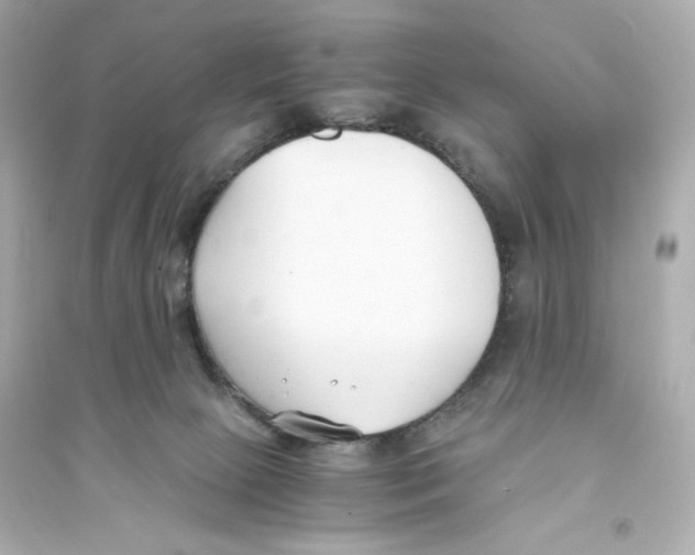 X0000093570081200711121047