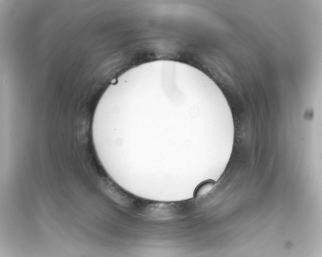 X0000093570082200711121047