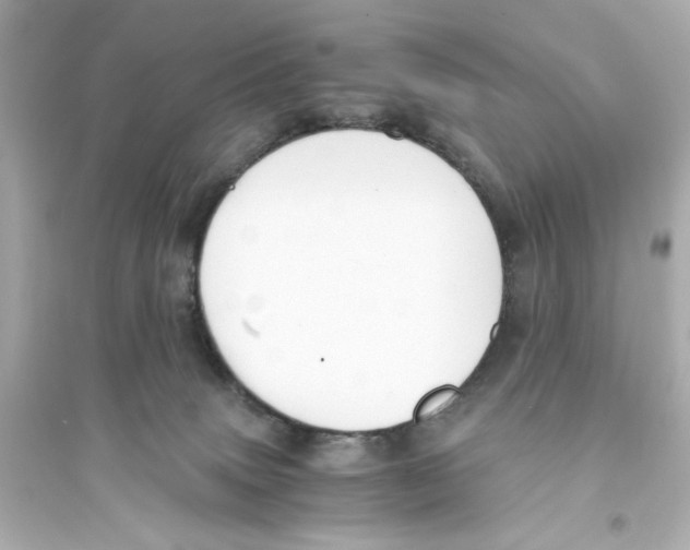 X0000093570083200711121047