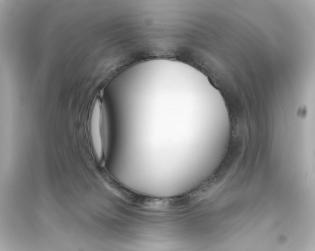 X0000093570084200711121047