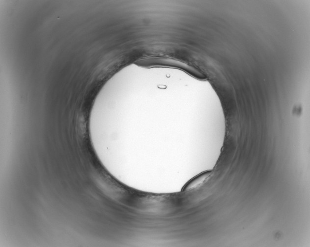 X0000093570086200711121047