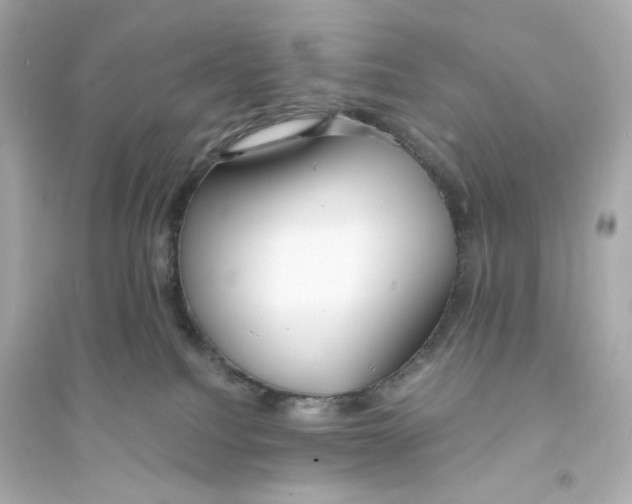 X0000093570088200711121047