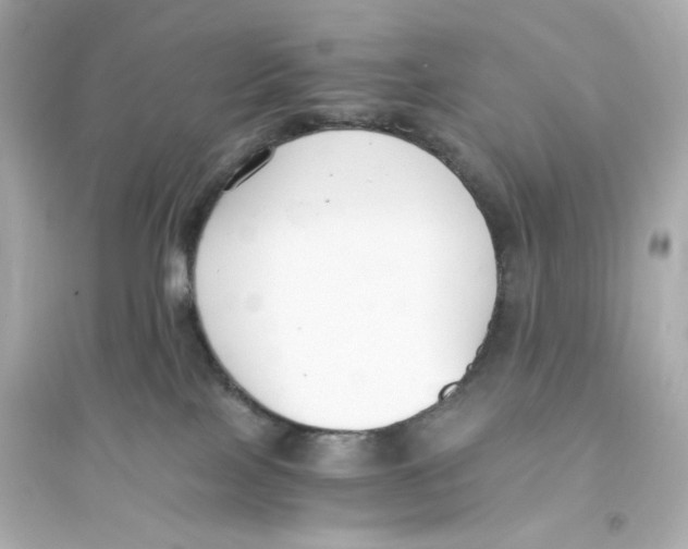 X0000093570089200711121047