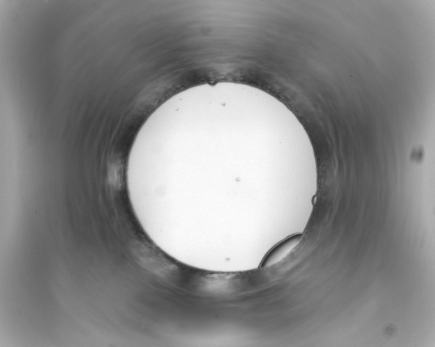 X0000093570090200711121047