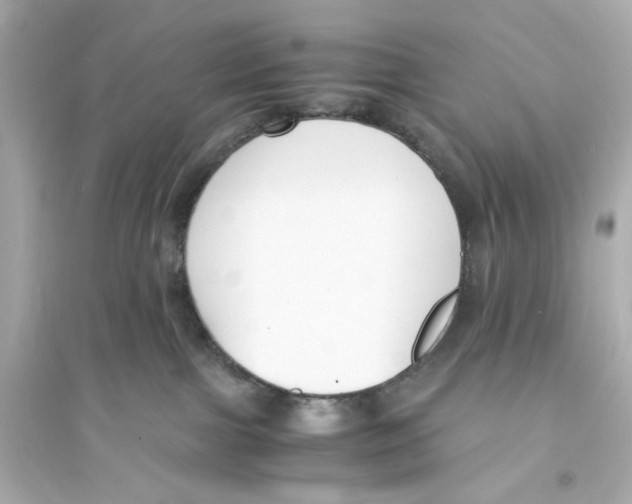 X0000093570091200711121047