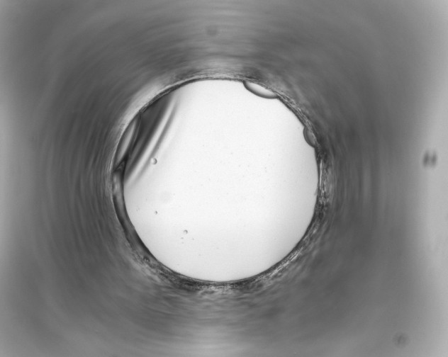 X0000093570099200711121047