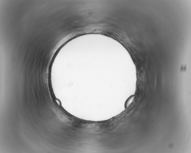 X0000093570100200711121047