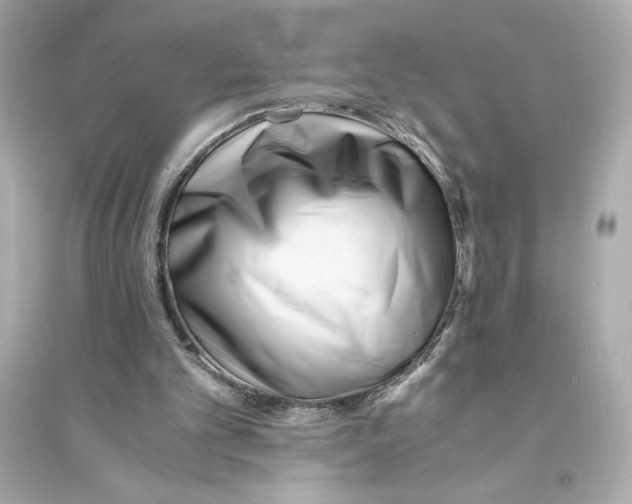X0000093570101200711121047