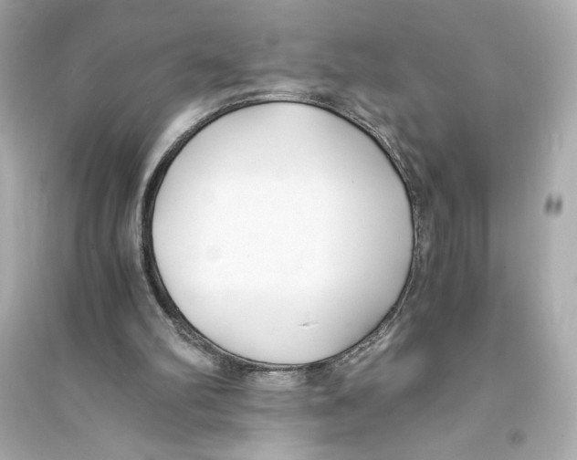 X0000093570102200711121047