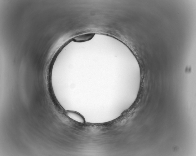 X0000093570103200711121047