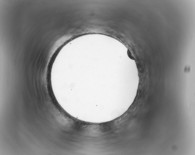 X0000093570104200711121047