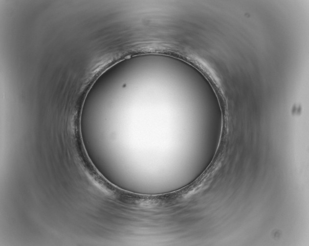 X0000093570105200711121047