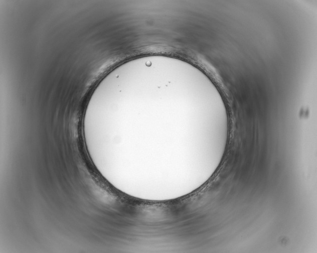 X0000093570106200711121047