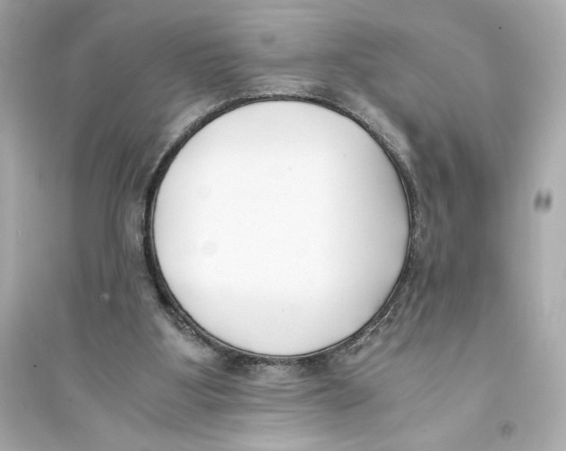 X0000093570107200711121047