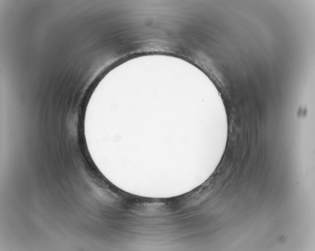 X0000093570108200711121046
