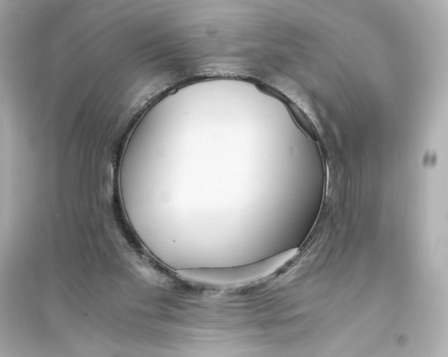 X0000093570109200711121046