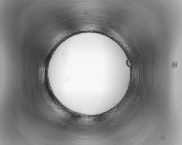 X0000093570110200711121046
