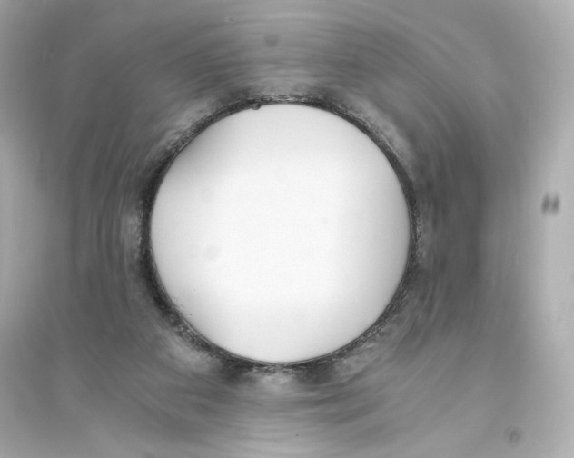 X0000093570113200711121046