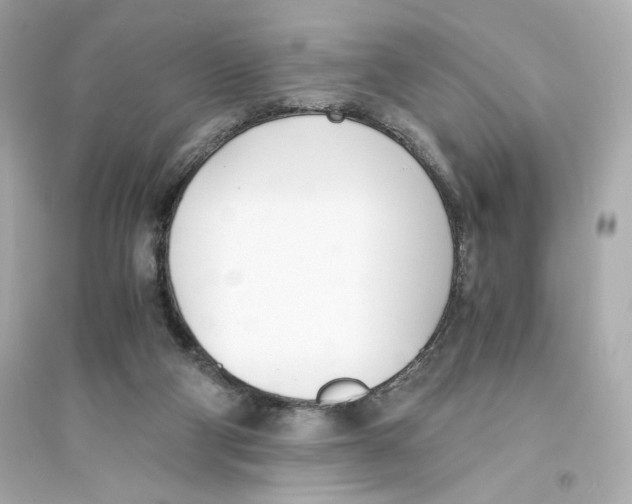 X0000093570114200711121046