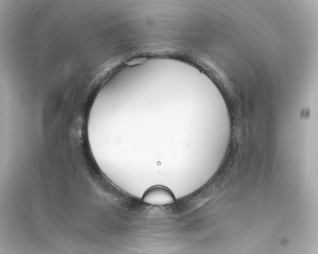 X0000093570115200711121046