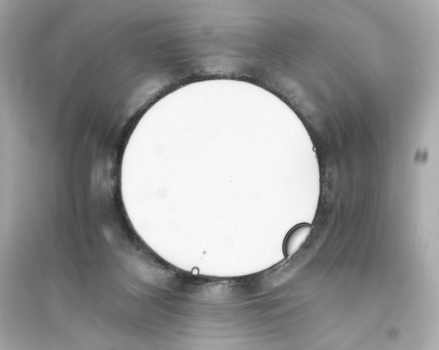 X0000093570116200711121046