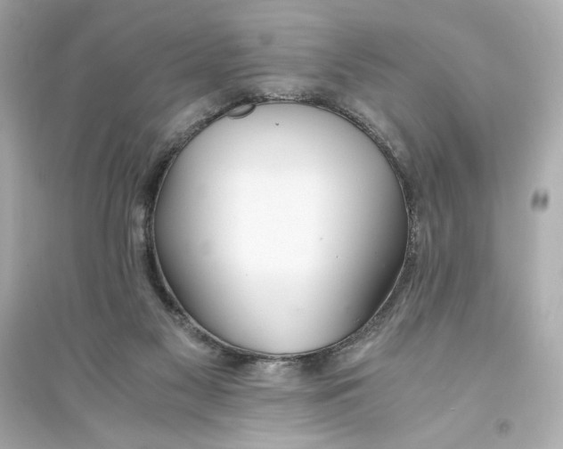 X0000093570117200711121046