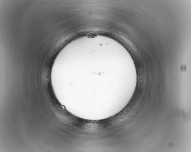 X0000093570119200711121046