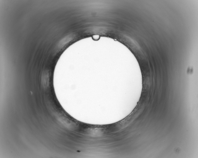 X0000093570120200711121046