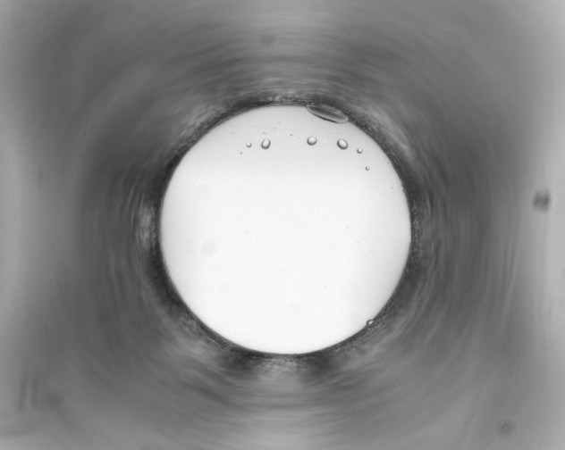 X0000093570123200711121046
