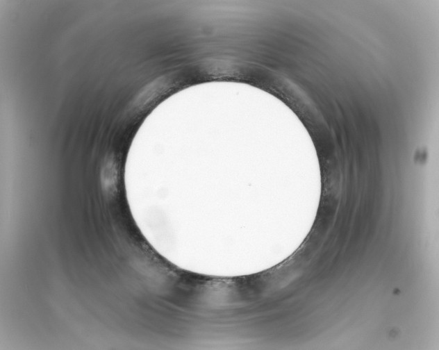 X0000093570124200711121046