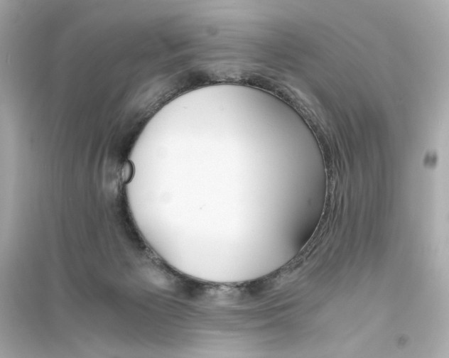 X0000093570125200711121046