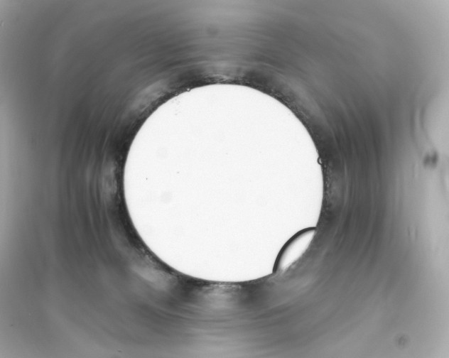 X0000093570128200711121046
