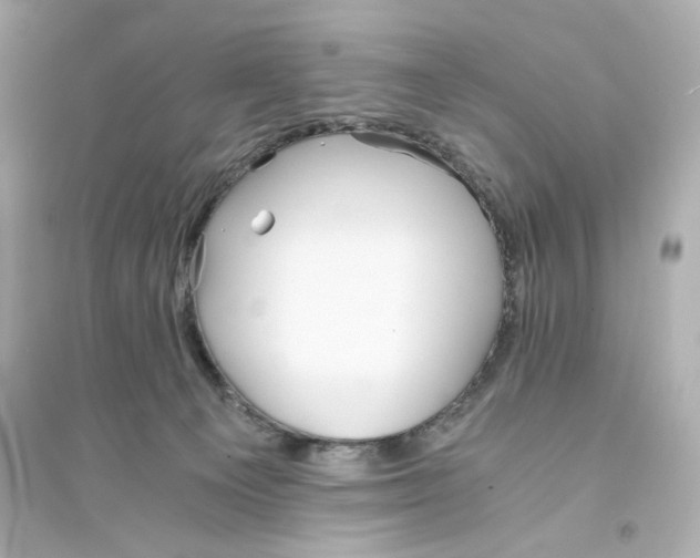 X0000093570129200711121046