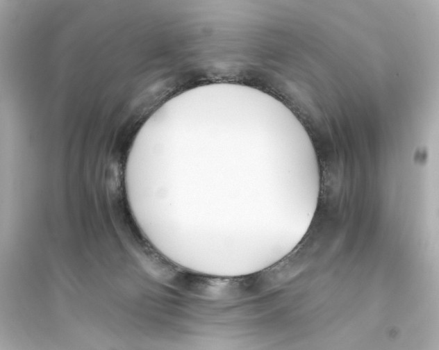 X0000093570130200711121046