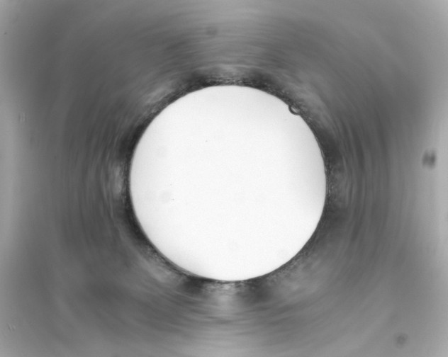 X0000093570131200711121046