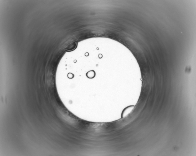 X0000093570136200711121046