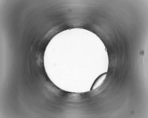 X0000093570140200711121046