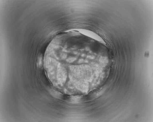X0000093570143200711121046