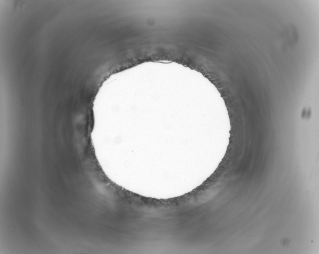 X0000093570144200711121046