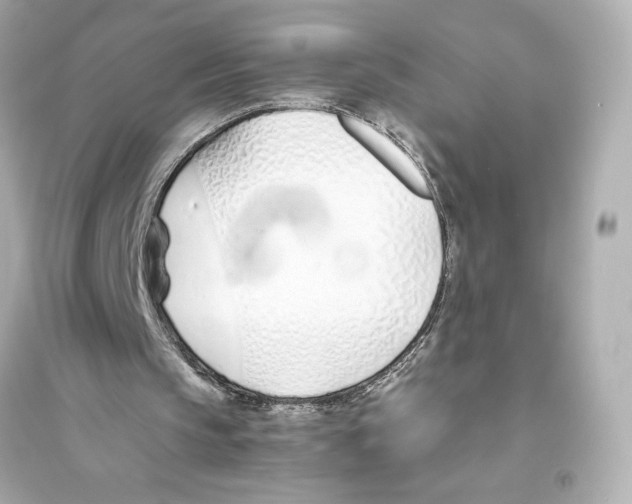 X0000093570145200711121045