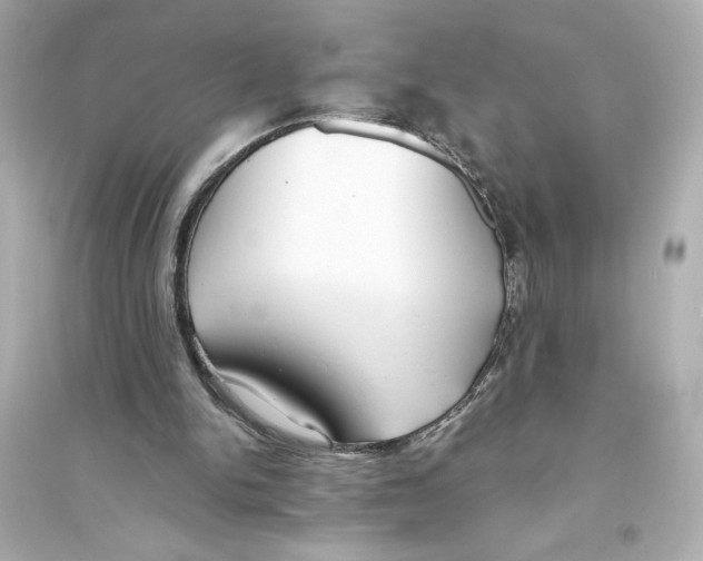 X0000093570150200711121045