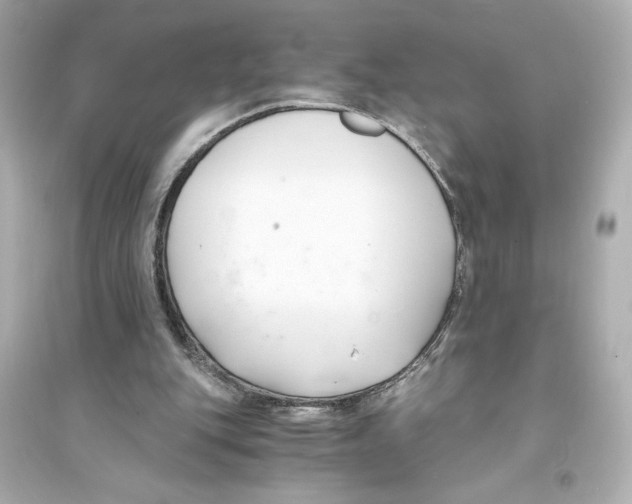 X0000093570151200711121045