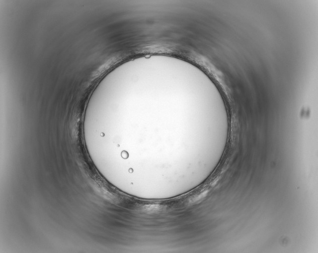 X0000093570153200711121045