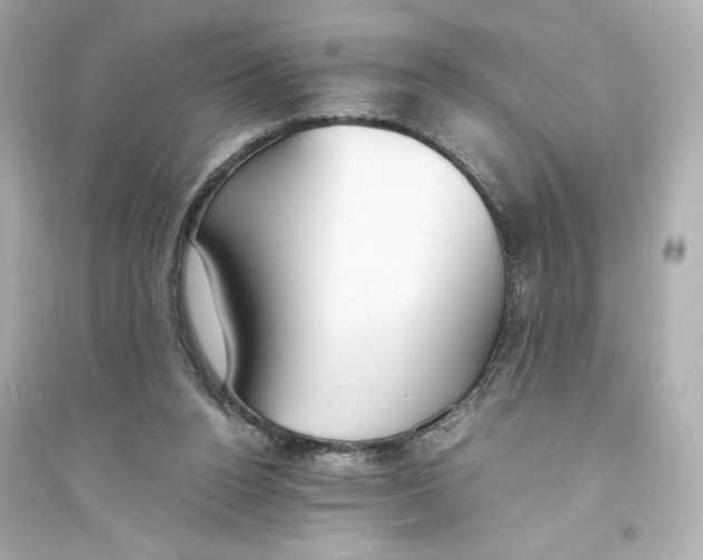X0000093570160200711121045