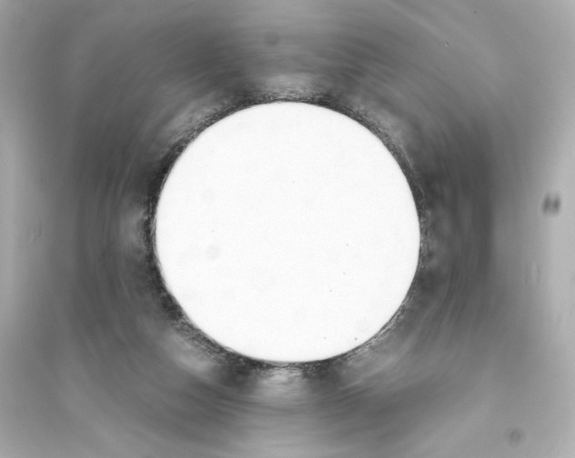 X0000093570162200711121045