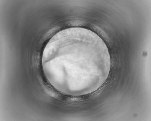 X0000093570163200711121045