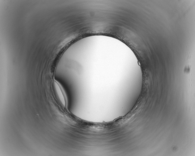 X0000093570164200711121045