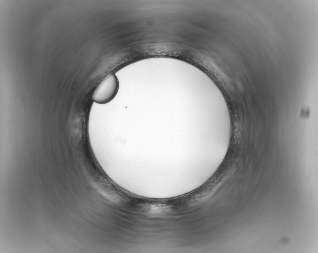 X0000093570165200711121045