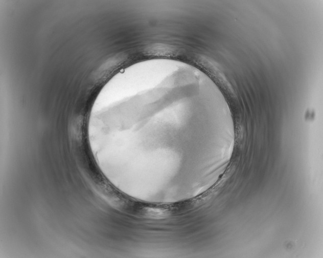X0000093570167200711121045